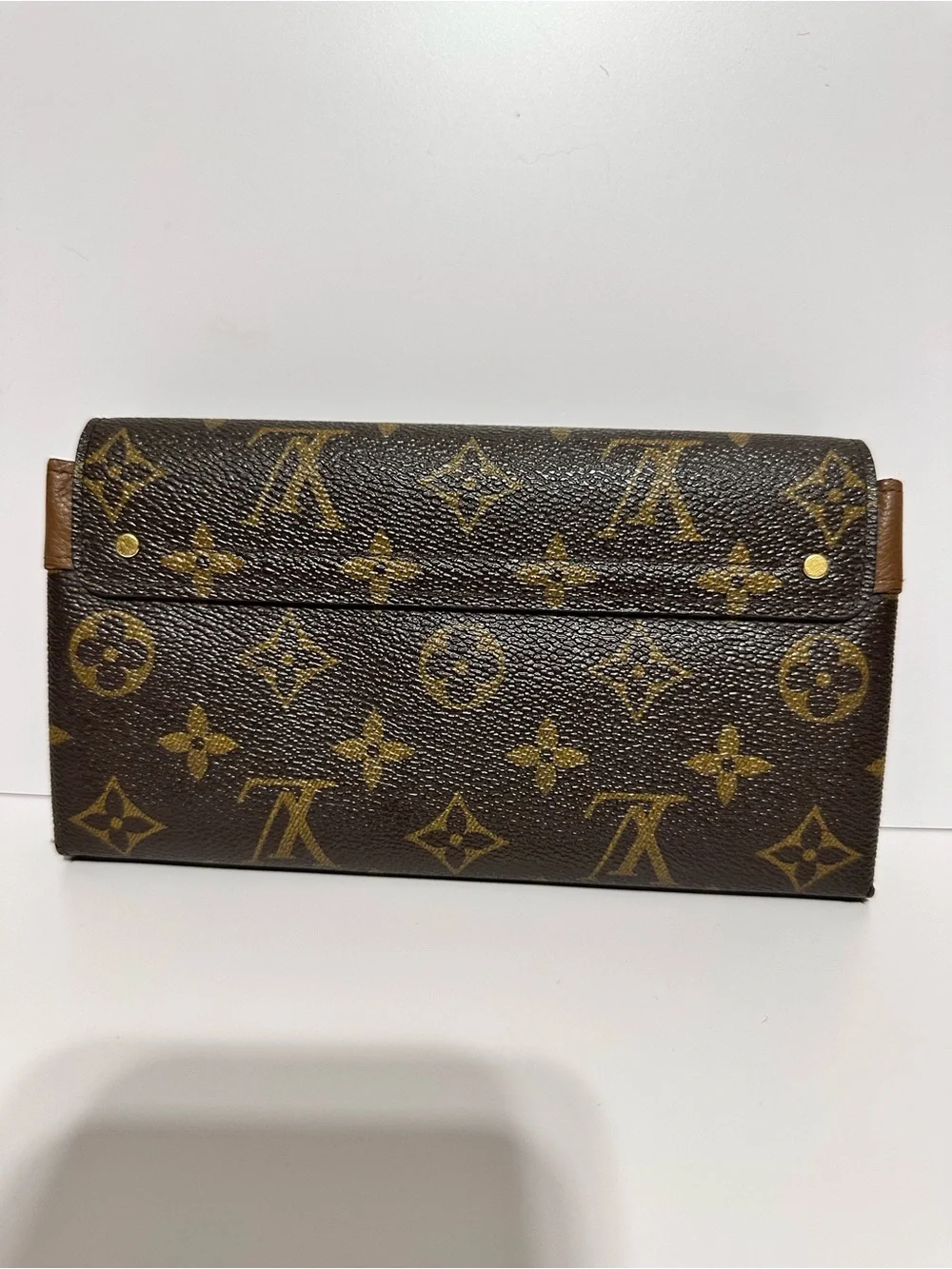Louis Vuitton classic louis